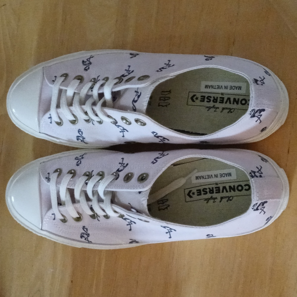 Chuck Taylor flamingo Converse